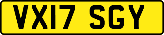 VX17SGY