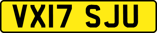 VX17SJU