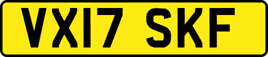 VX17SKF