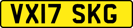 VX17SKG
