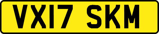 VX17SKM