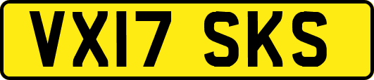 VX17SKS