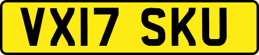 VX17SKU