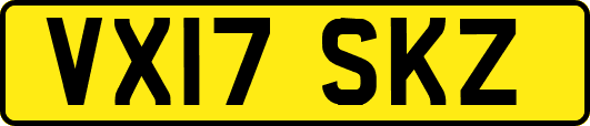 VX17SKZ