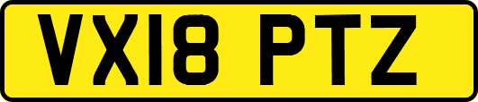 VX18PTZ