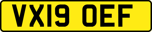 VX19OEF