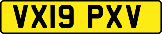 VX19PXV