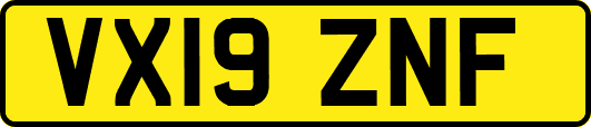 VX19ZNF
