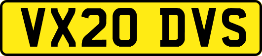 VX20DVS