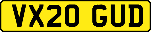 VX20GUD