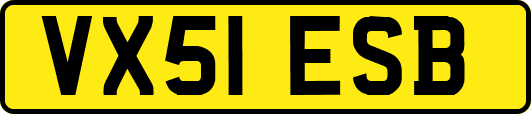 VX51ESB