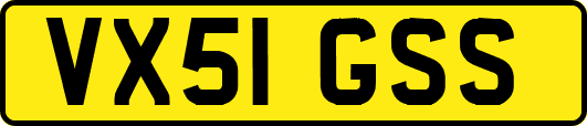 VX51GSS