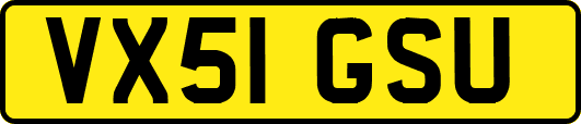 VX51GSU