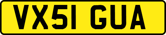 VX51GUA