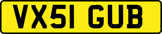 VX51GUB