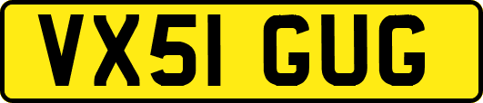 VX51GUG