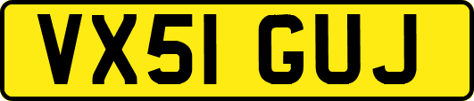 VX51GUJ
