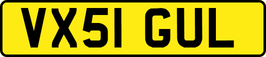 VX51GUL