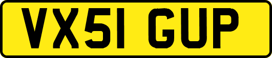 VX51GUP