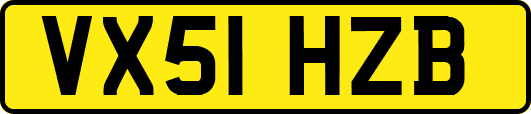 VX51HZB