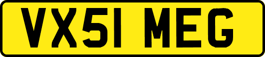 VX51MEG
