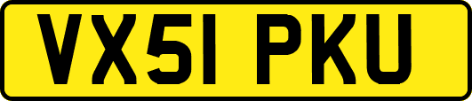 VX51PKU