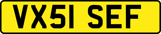 VX51SEF