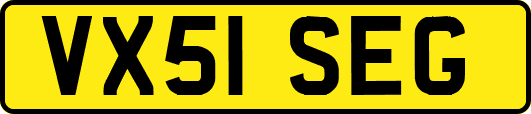 VX51SEG