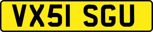 VX51SGU