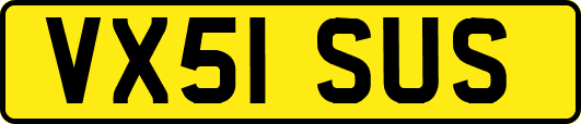 VX51SUS