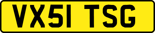 VX51TSG