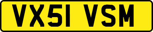 VX51VSM