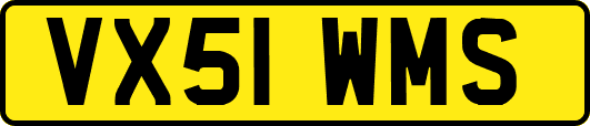 VX51WMS