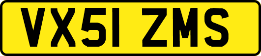 VX51ZMS