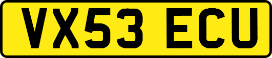 VX53ECU