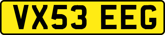 VX53EEG