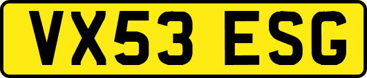 VX53ESG