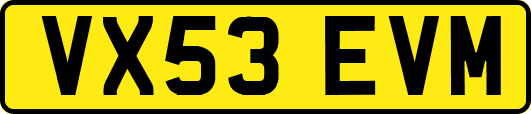VX53EVM