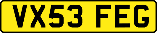 VX53FEG