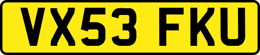 VX53FKU