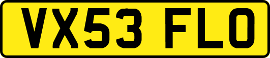 VX53FLO