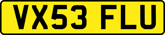VX53FLU