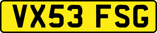 VX53FSG