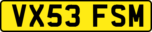 VX53FSM