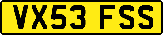 VX53FSS