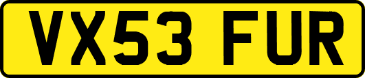 VX53FUR