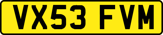 VX53FVM