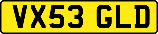 VX53GLD