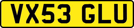 VX53GLU