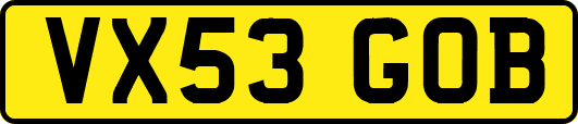 VX53GOB